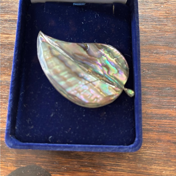 Vintage Jewelry - Vintage abalone sterling brooche